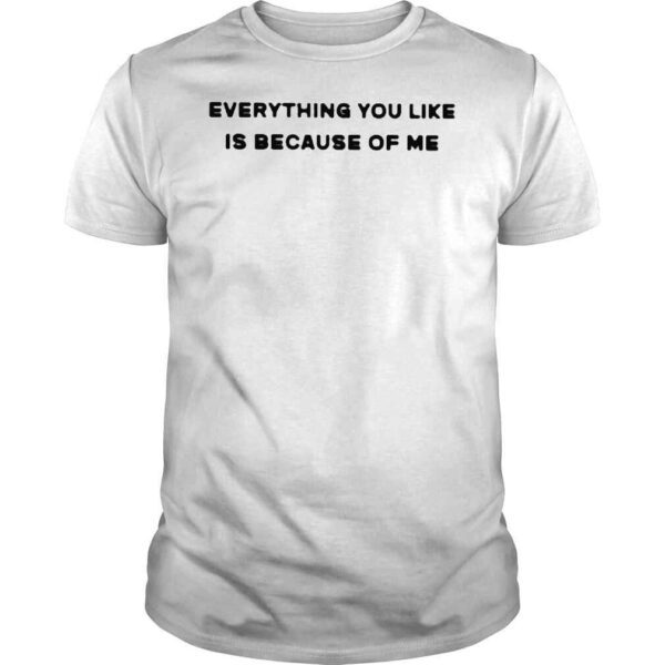 Everything You Like Is Because Of Me T Shirt