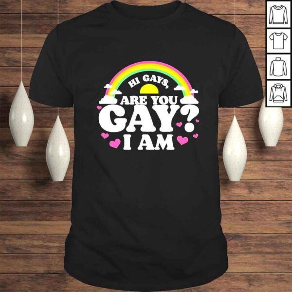 Rainbow hi gays are you gay I am shirt