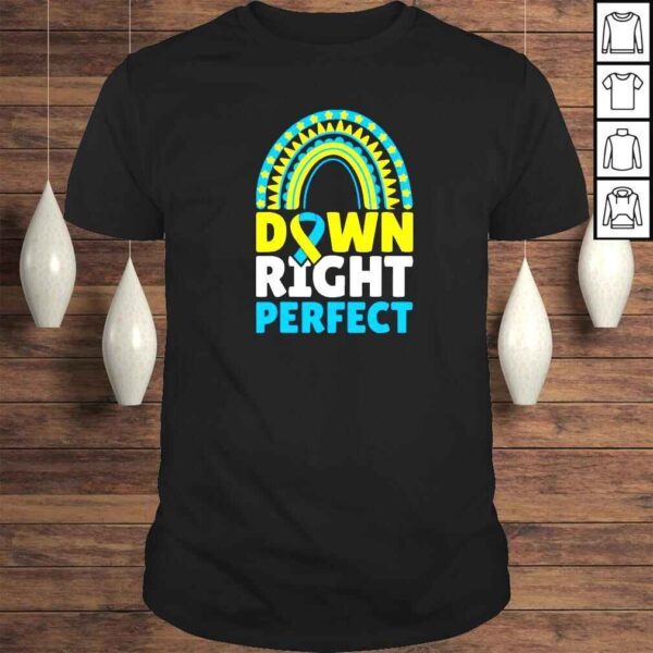 down right perfect rainbow shirt