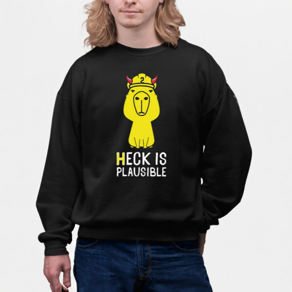 Heck Is Plausible 2023 Shirts