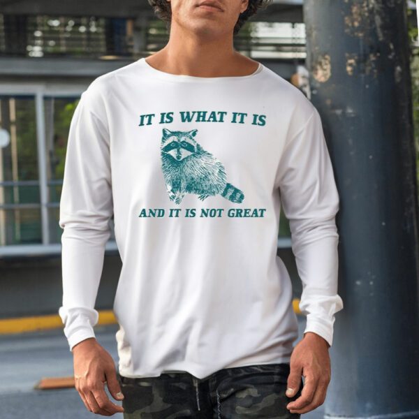 Raccoon It Is What It Is And It Is Not Great Shirt1