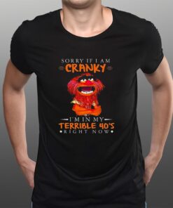 Sorry If I Am Cranky Im In My Terrible 40s Right Now T-Shirts