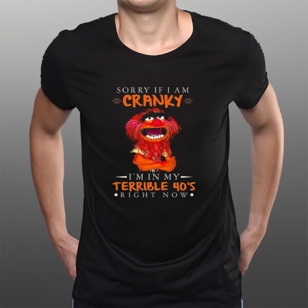 Sorry If I Am Cranky Im In My Terrible 40s Right Now T-Shirts