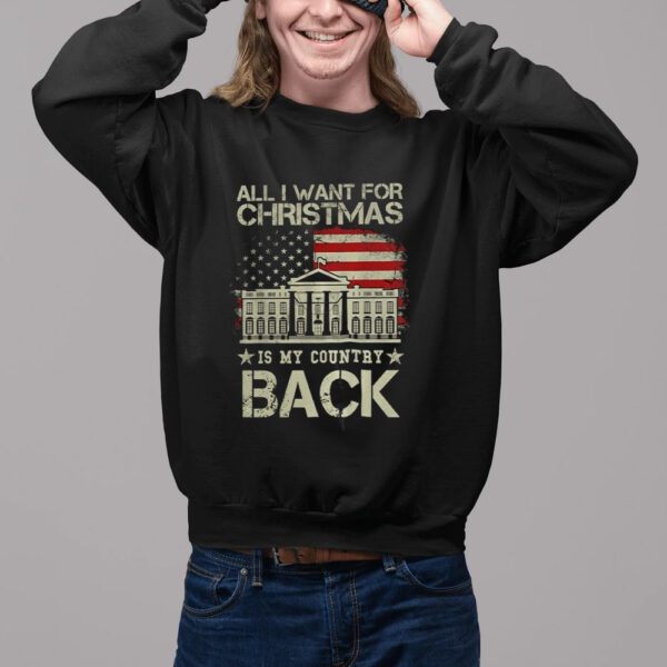 All I Want For Christmas Is My Country Back Shirt2