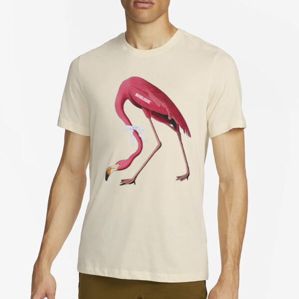 Flamingo Team Mixoloshe T-Shirt4