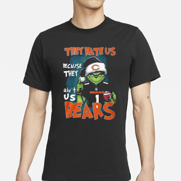 Grnch They Hate Us Because They Ain’t Us Bears T-Shirt1