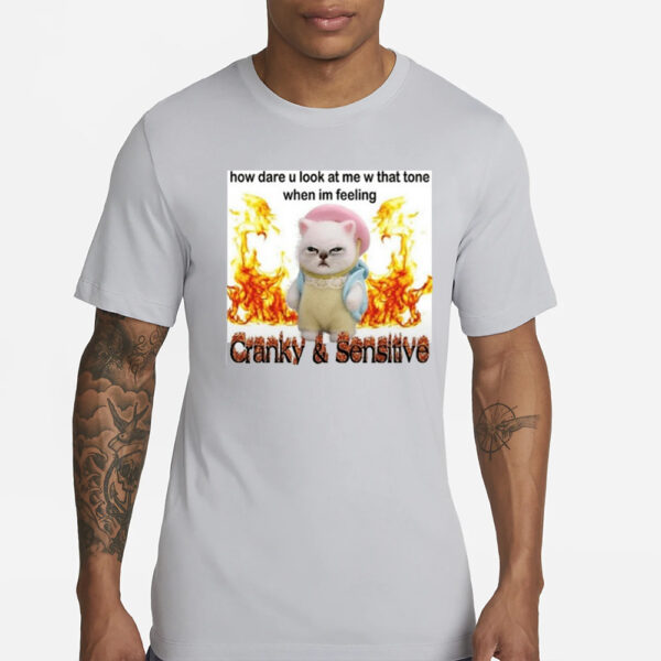 How Dare U Look At Me W That Tone When I'm Feeling Cranky And Sensitive-Unisex T-Shirts