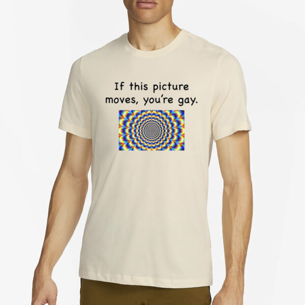 If This Picture Moves, You're Gay T-Shirt2