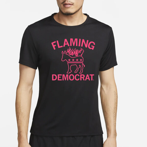 Raygunsite Flaming Democrat T-Shirt2