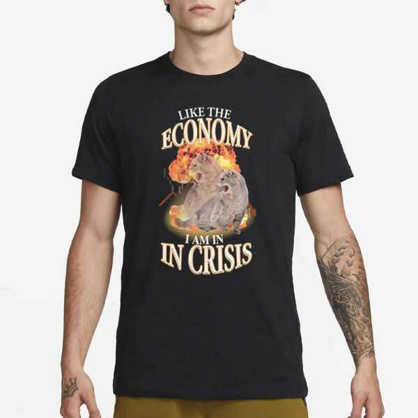 Like The Economy I Am In Crisis T-Shirt3