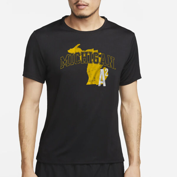 Michigan Football Hometown A2 T-Shirt2