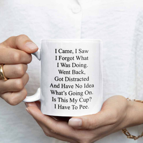 I Came I Saw I Forgot What I Was Doing Went Back Mug1