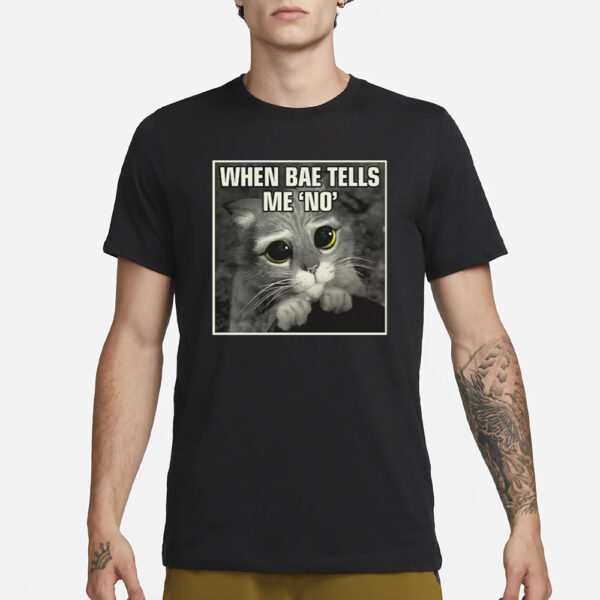 Kohls When Bae Tells Me No Meme T-Shirt3