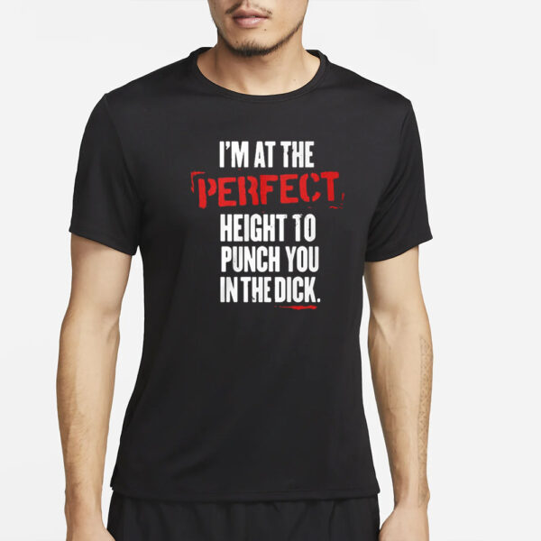 I’m At The Perfect Height To Punch You In The Dick T-Shirt2