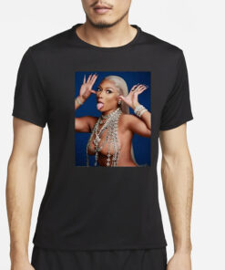 Megan Thee Stallion Hiss Tina Snow T-Shirt2