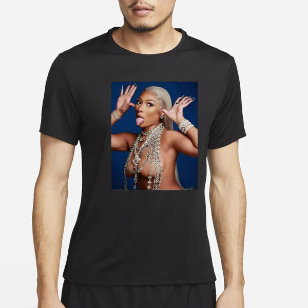 Megan Thee Stallion Hiss Tina Snow T-Shirt2