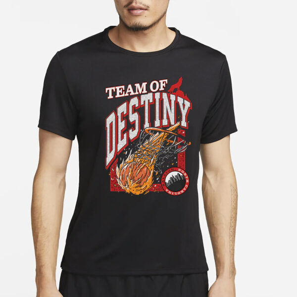 Barstool Sports TEAM OF DESTINY NC T-SHIRT2