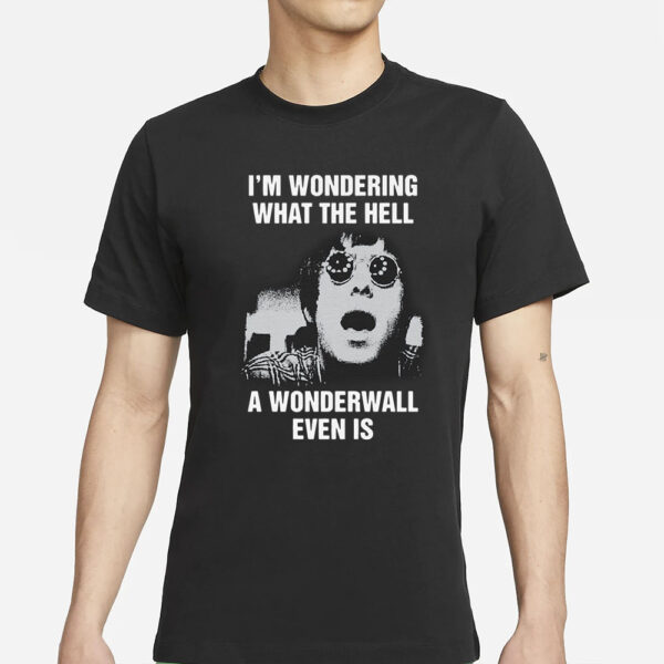 I'm Wondering What The Hell A Wonderwall Even Is T-Shirt