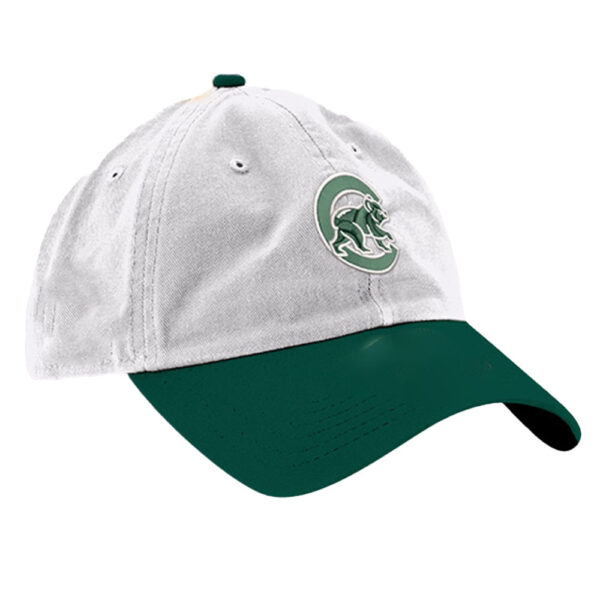 Michigan State University Hat Giveaway 2024