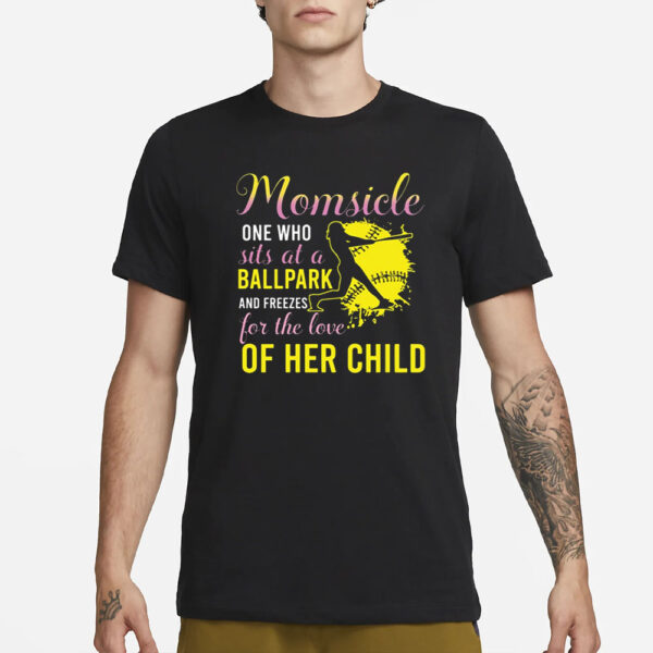 Momsicle One Who Sits At A Ballpark And Freezes T-Shirt3