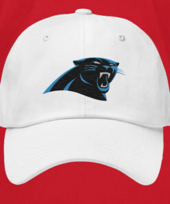 Panthers David Tepper Hat1