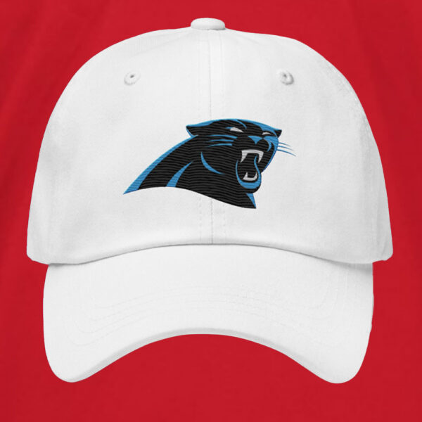 Panthers David Tepper Hat1