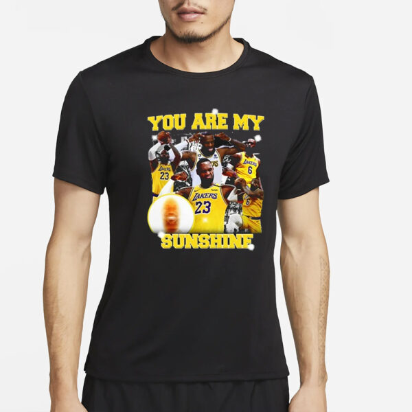 You Are My Sunshine Lebron James T-Shirt2