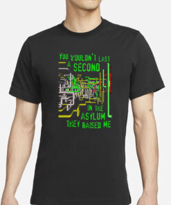 You Wouldn't Last A Second In The Asylum They Raised Me T-Shirts