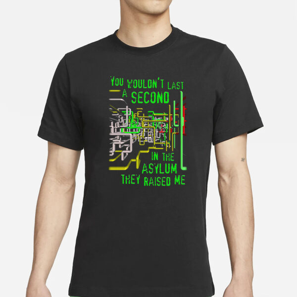 You Wouldn't Last A Second In The Asylum They Raised Me T-Shirts