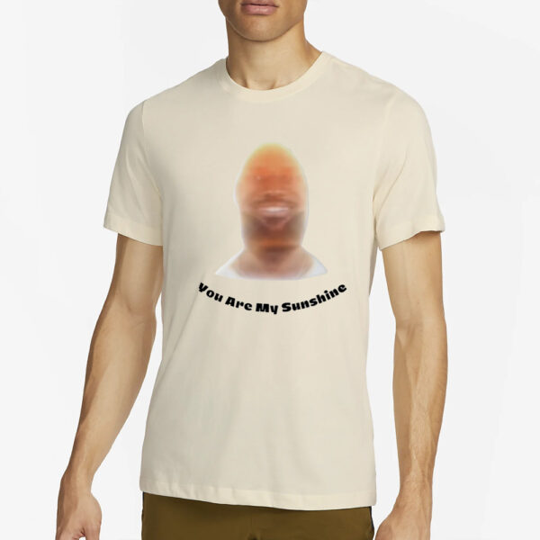 lebron james reacts to his meme You Are My Sunshine T-Shirt2