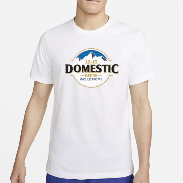 12-15 Domestic Beers Would Fix Me T-Shirt5