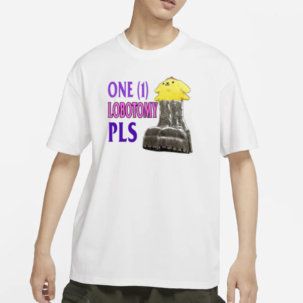 Jmcgg Pompompurin One 1 Lobotomy Pls T-Shirts