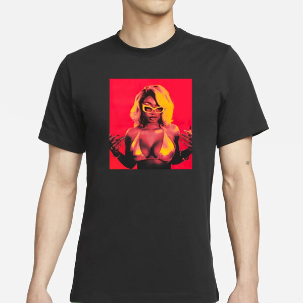 Megan Thee Stallion Hot Girl Summer Tour 2024 T-Shirts