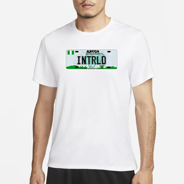 Abuja Centre Of Unity Intrld Federal Republic Of Nigeria T-Shirt3