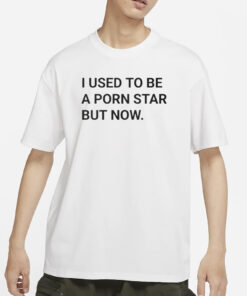 I Used To Be A Porn Star But Now I Own This Kebab Shop T-Shirt