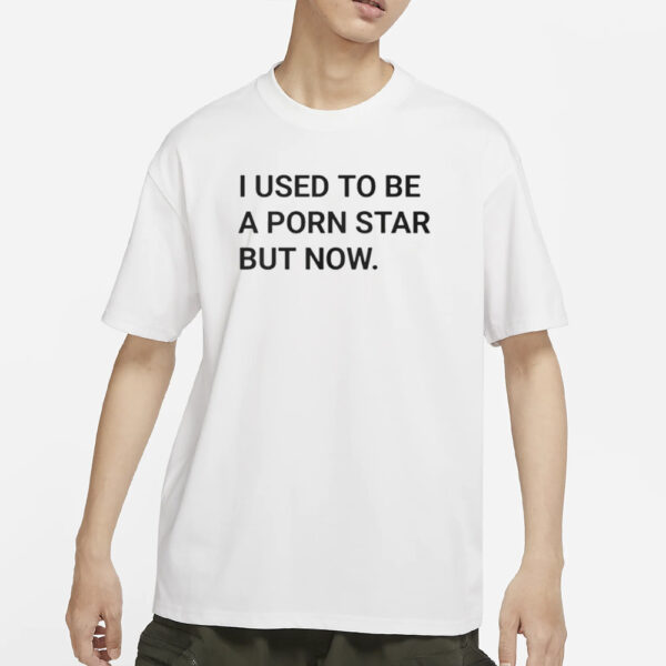 I Used To Be A Porn Star But Now I Own This Kebab Shop T-Shirt