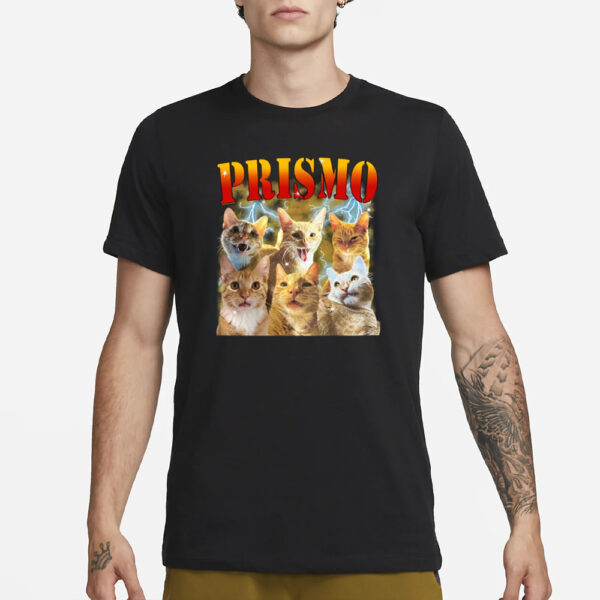 Oneorangebraincell Prismo Cats T-Shirt3