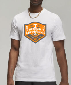 Tennessee Baseball National Champs Gray T-Shirt3